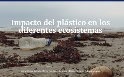 Impacto del plástico en los diferentes ecosistemas