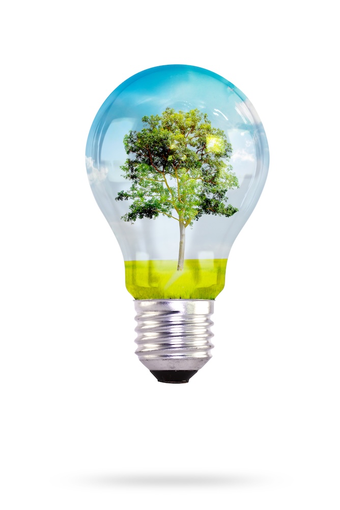 light bulb with tree inside